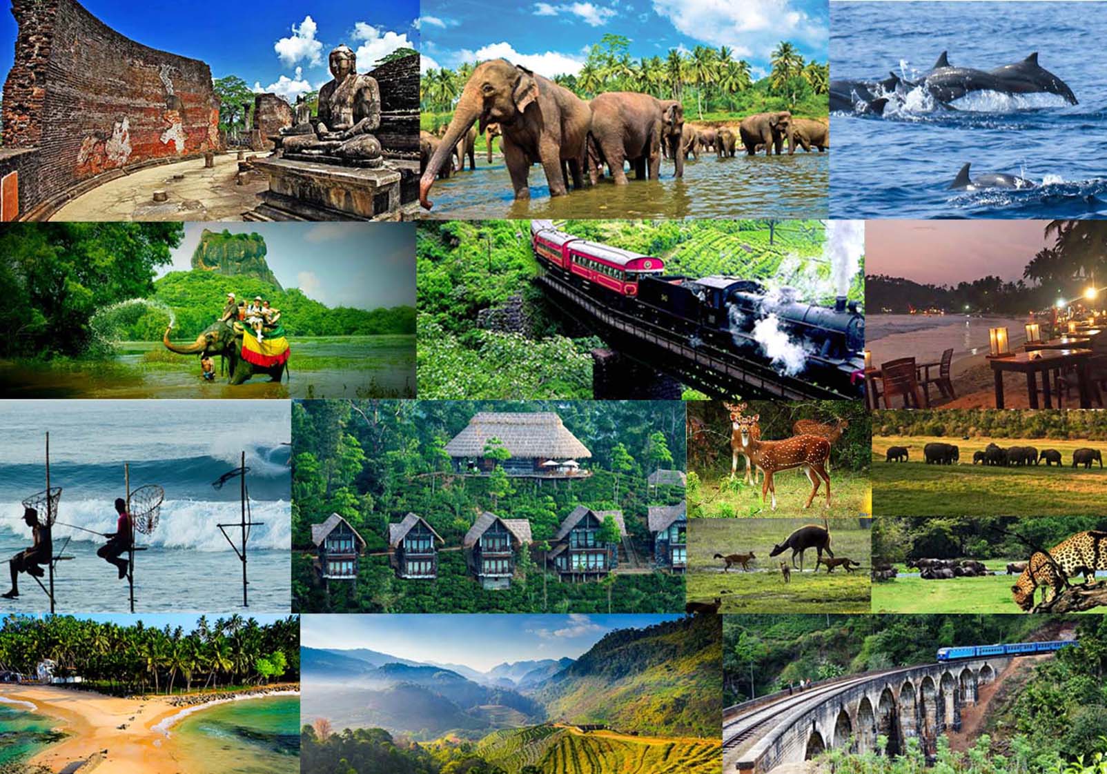 tourism in sri lanka pdf